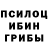 Псилоцибиновые грибы Psilocybine cubensis nnnkk nnk